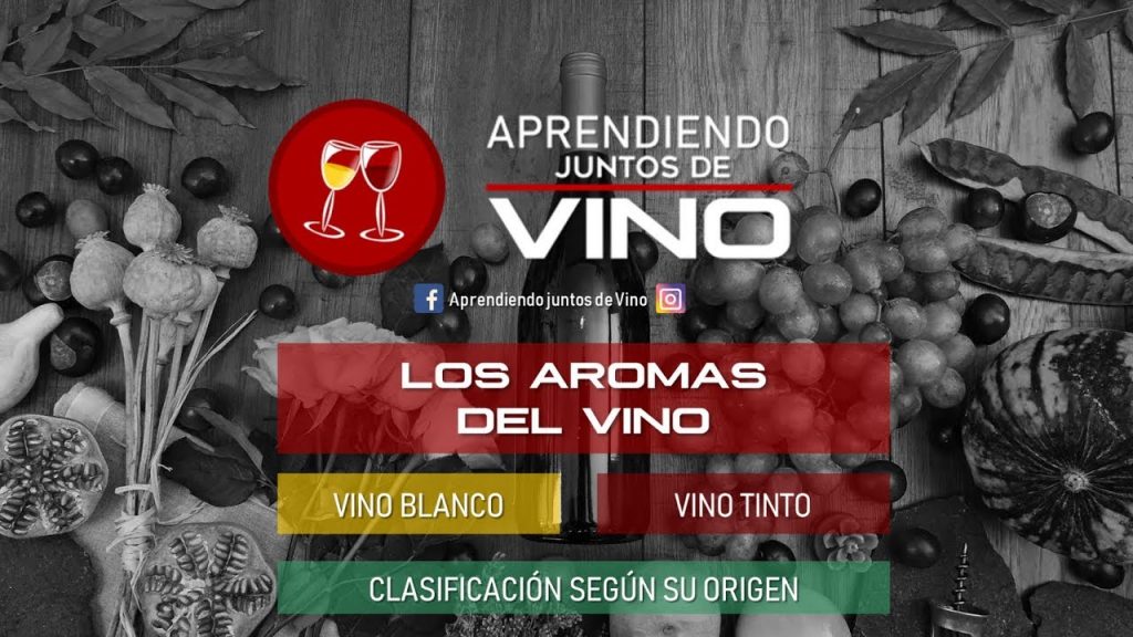 ¿Cómo se clasifican los aromas del vino?