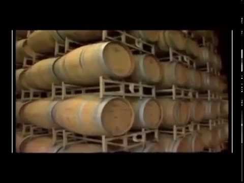 ¿Cómo se compone el sector productivo vitivinicola?