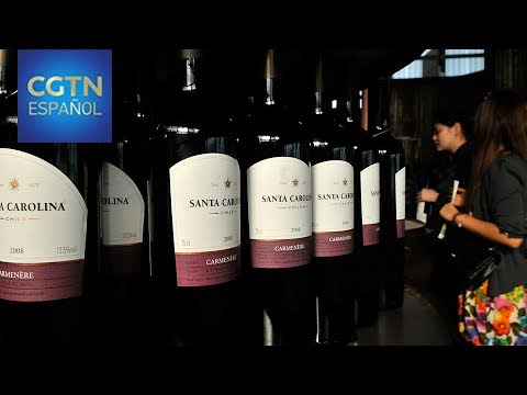¿Cuál es la mejor marca de vino chileno?