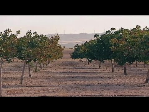 ¿Cuántas hectareas tiene Castilla La Mancha?