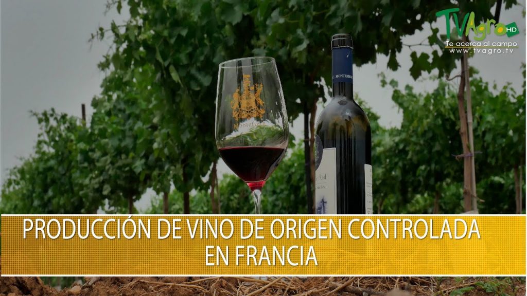 ¿Dónde se produce el vino en Francia?