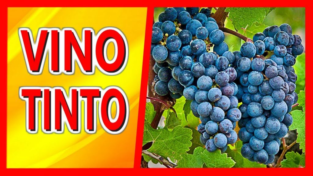 ¿Qué parte de la uva da el color al vino?