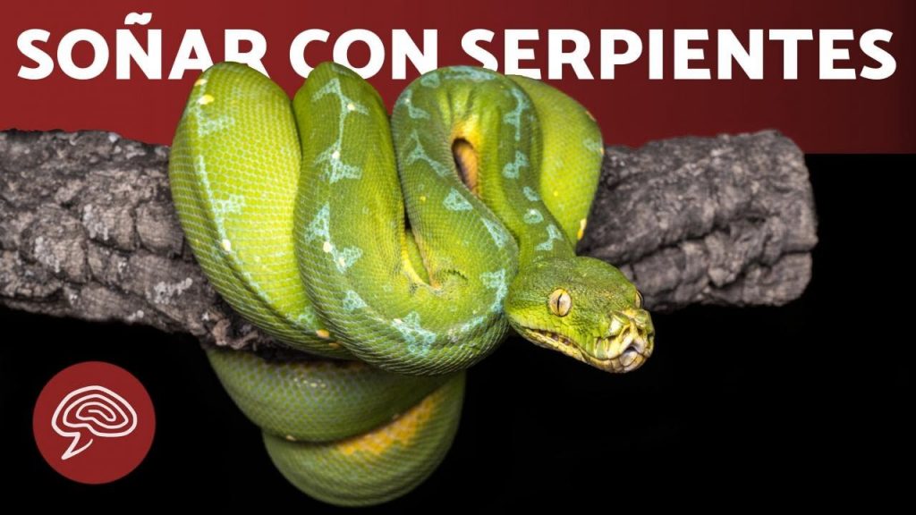 ¿Qué significa la serpiente en el mundo espiritual?