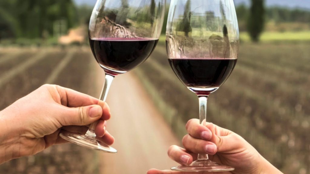 ¿Qué vino es más suave Rioja o Ribera del Duero?